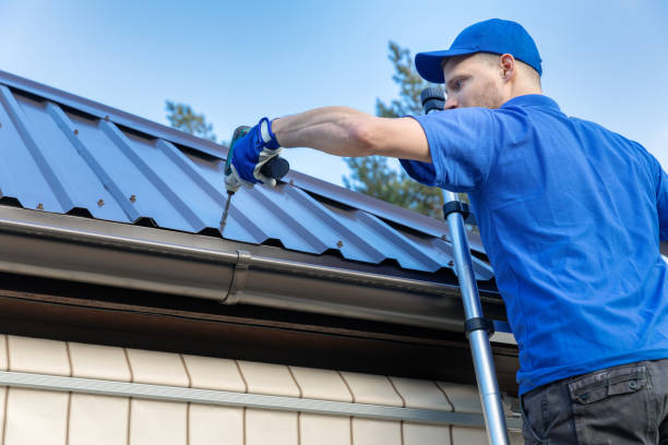 Best Skylight Installation and Repair  in South Pittsburg, TN