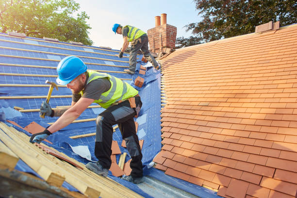 Best Solar Panel Roofing Installation  in South Pittsburg, TN